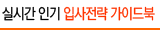 실시간 인기 입사전략 가이드북