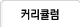 커리큘럼