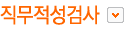 직무적성검사