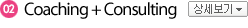 Coaching + Consulting 